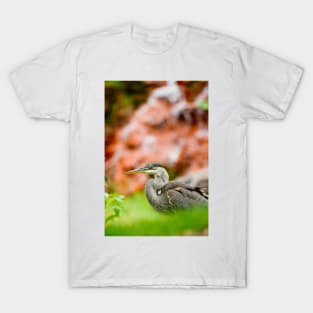 Blue Heron T-Shirt